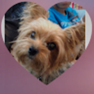 Meet your Posher, Jada